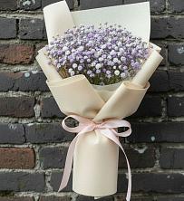 Букет цветов из:  Гипсофила в Новозаведенном