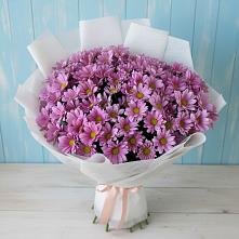 Букет цветов из:  Хризантемы в Новозаведенном