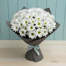 Букет цветов из:  Хризантемы в Новозаведенном