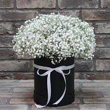 Цветочная композиция из Гипсофила в шляпной коробке #REPLACE_PRED# Новозаведенном