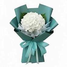 Букет цветов из:  Гортензия #REPLACE_PRED# Новозаведенном